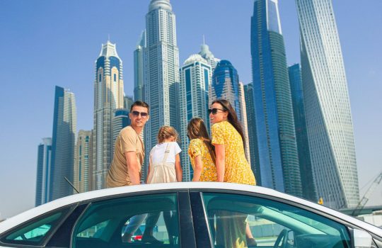 Organized Tours2